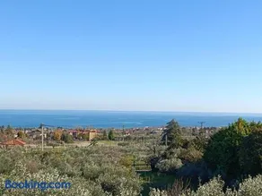 Azure & Olive Estate - Image 1