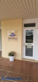 Phenicia 16N - Image 3