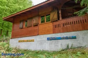 KALMul naturii, iureșul pădurii - Image 2