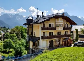 Stella Alpina - Image 1