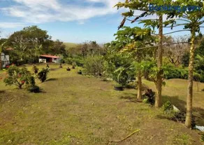Tilawaland - Image 4