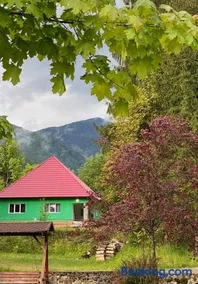 The Green House - Apuseni Mountains - Image 2