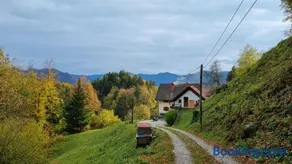 Apartma Pod orehom - Image 3