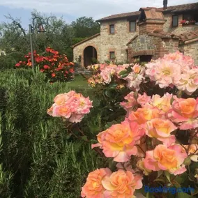 Agriturismo Valiana - Image 1