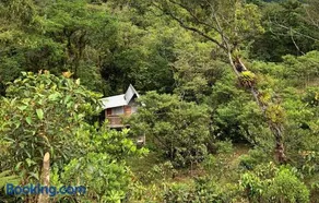 Finca MamaChakra - Cabañas - Camping - Image 2