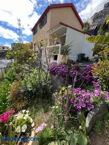 Tropical House - Image 2