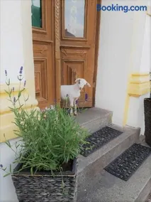 Pension "Am Stadtgraben" - Image 3