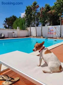 Aloha Village - Bed&Pet - Image 3