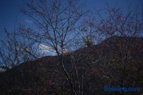 GO Bill B&B - Image 2