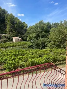 Appartement 1 chambre au milieu du vignoble de Gigondas - Image 3