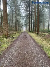 Kniepsand - Image 5