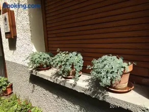 Casa Julio - Image 3
