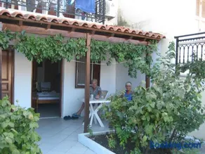 Kamelia - Image 2