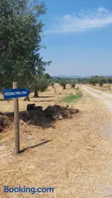 Quinta da Mouracha - Image 3