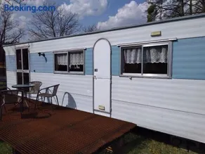 Královna - Camp pod kaštany - Image 1