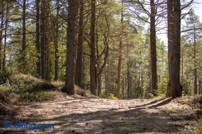 Gnista Glamping - Image 2