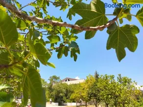 b&b L`Oasi - Image 2