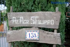 Tenuta San Filippo - Image 2