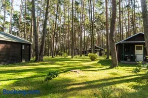 Urlaub im Bungalow - mitten im Wald - Image 1