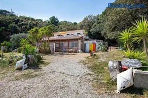 Sciabattica - Lacona - Image 1