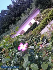 Villino Isò - Image 2