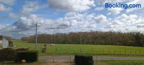 Pleine nature, 10 min zoo Beauval Mareuil sur cher - Image 4
