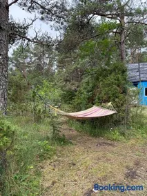 Lovely blue blue house in Saaremaa - Image 4