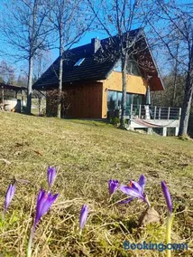 Przystanek Gorce - Image 2