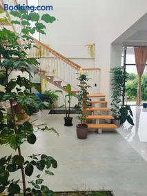 Green Courtyard Luxury Villa - Image 4
