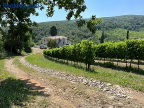 Agriturismo Tenuta Il Molino - Image 1