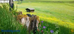 Outdoor & Relax Blackforest - Image 3