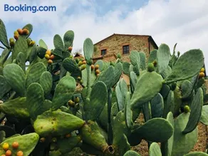 Casetta tre poderi appartamento Cactus - Image 4