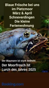 Die Kleine Ferienwohnung - Image 3