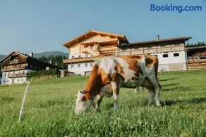Appartamento adatto alle famiglie con giardino e terrazza | Ammette cani - Image 3