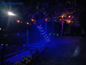 Chácara mana - Image 5