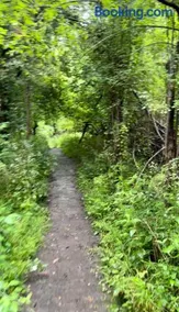 Licensed-8 Acre Estate, Trail & Stream with 3 Beds - Image 3