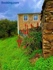 Quinta Castanheiro da Penha - Alegrete - Portalegre - Alentejo - Image 2
