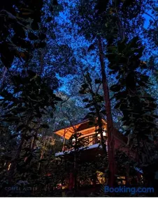 Coffee Acres Resort - Image 2