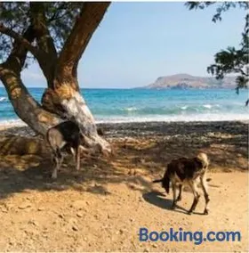 Villa Sfinari Beach and Harbor - Image 2