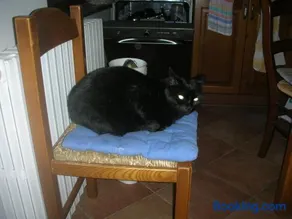 Affittacamere La Fornace - Image 2