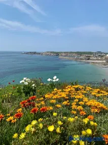 Pied à terre pour des vacances au bord de la mer - Image 3