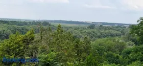 ViaDowinaGardens - Image 3