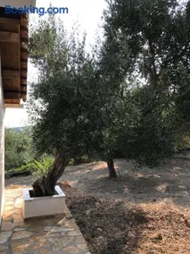 Ferienhaus Olive Garden - Image 2