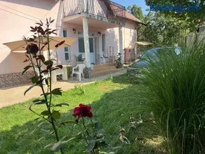 Vila Siminica - Image 3