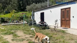 Orto Raccolto - Image 3