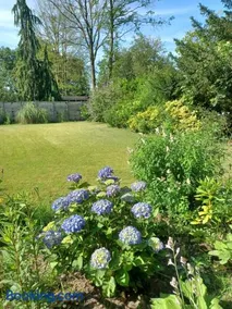 Bungalow net buiten Zuidwolde - Image 4