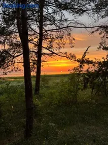 Näkimadala - Image 3