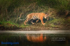 Tiger Corner Inn Homestay - Image 1