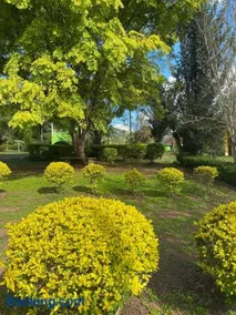 RECANTO FLORES DA MONTANHA- via fácil ASFALTO, VISTA das Montanhas - Image 5
