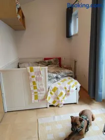 Telfer Treasure: unkomplizierter Familienurlaub - Image 2